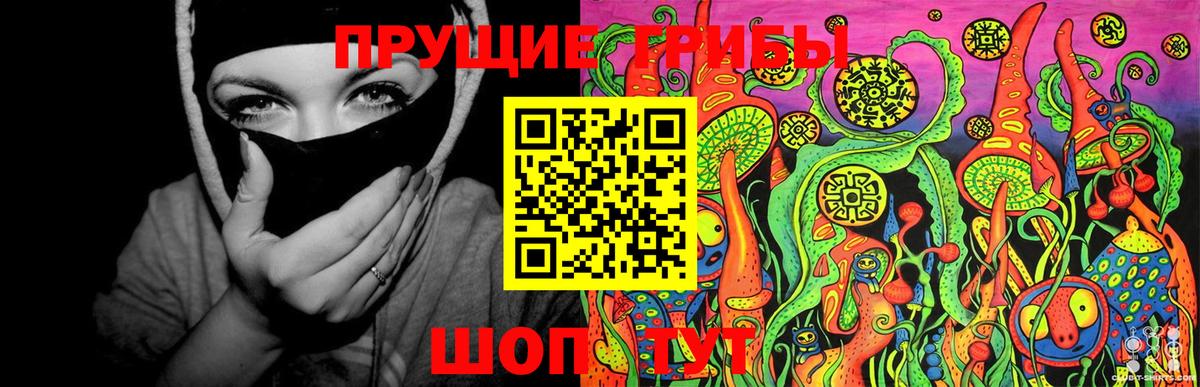 Галлюциногенные грибы прущие грибы  Вход с VPN  Белореченск 